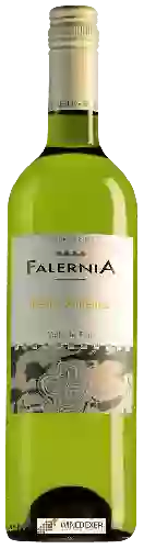 Winery Falernia - Pedro Ximenez
