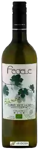 Winery Fedele