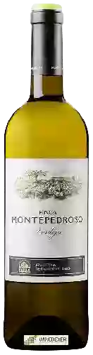 Winery Finca Montepedroso - Rueda Verdejo