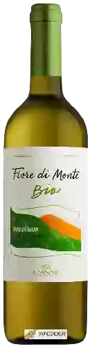 Winery Fiore di Monte