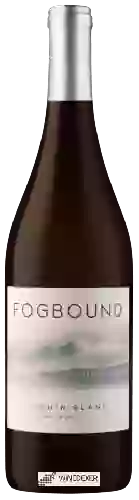 Winery Fogbound