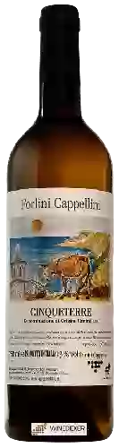 Winery Forlini Cappellini - Cinque Terre