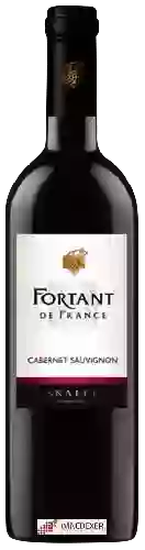 Winery Fortant - Cabernet Sauvignon