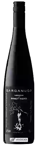 Winery Garganuda