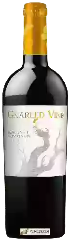 Winery Gnarled Vine