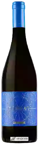 Winery Gurra di Mare