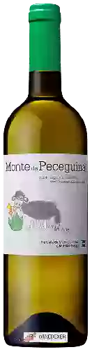 Winery Malhadinha Nova - Alentejano Monte da Peceguina Branco