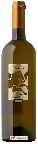 Winery Icario