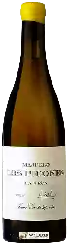 Winery Isaac Cantalapiedra - Majuelo Los Picones La Seca
