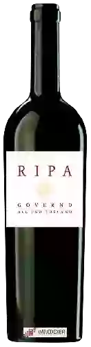 Winery Rossetti - Ripa Governo All'Uso Toscano