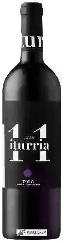 Winery Iturria - Tinto Iturria