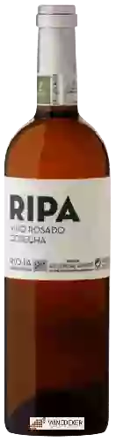 Winery Jose Luis Ripa