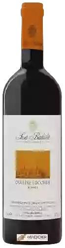 Winery La Badiola - Colline Lucchesi