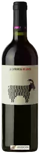 Winery La Capranera - Aglianico