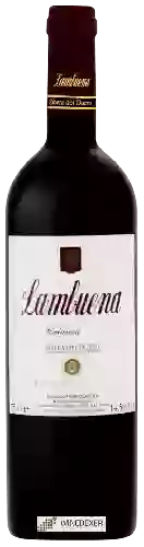 Winery Lambuena - Crianza