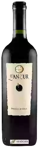 Winery LanZur - Cabernet Sauvignon