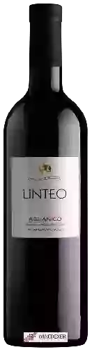 Winery Linteo
