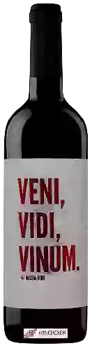 Winery Martí Serdà - Masia d'Or Veni Vidi Vinum Tinto