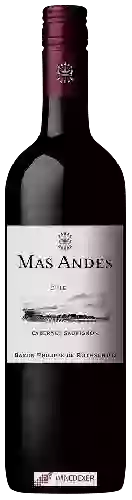 Winery Mas Andes