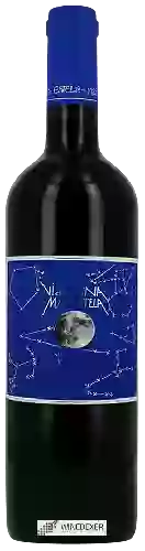 Winery Mas Estela - Vi de Lluna