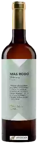 Winery Mas Rodó