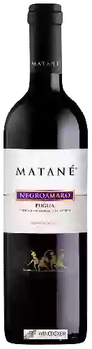 Winery Il Matane