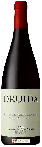 Winery Mira do Ó - Druida