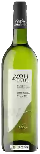 Winery Molí de Foc