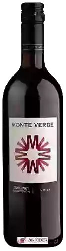 Winery Monte Verde