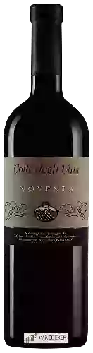 Winery Noventa - Colle degli Ulivi