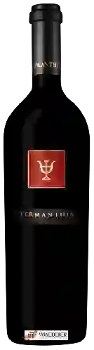 Winery Numanthia Winery Numanthia