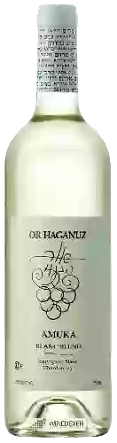 Winery Or Haganuz - Amuka Blanc Blend (בלאן בעמוקה תַעֲרוֹבֶת)