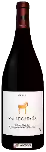 Winery Pago de Vallegarcía - Montes de Toledo Syrah