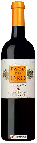 Winery Pago del Oro