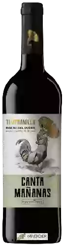 Winery Pagos del Rey - Canta Ma&ntildeanas Tempranillo