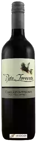 Winery Pato Torrente