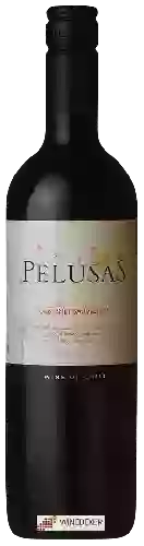 Winery Pelusas