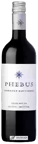 Winery Phebus