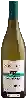 Winery Pian del Bichi - Vermentino