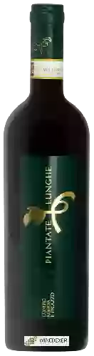 Winery Piantate Lunghe