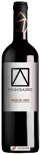 Winery Pico Cuadro - Ribera del Duero