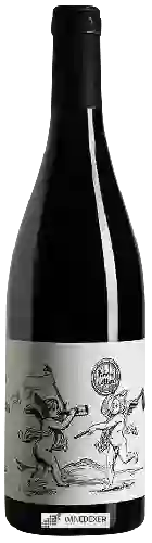 Winery Pierre Cotton - Beaujolais