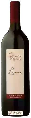 Winery Pijoan - Leonora