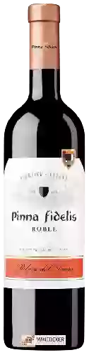 Winery Pinna Fidelis