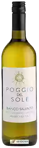 Winery Poggio del Sole