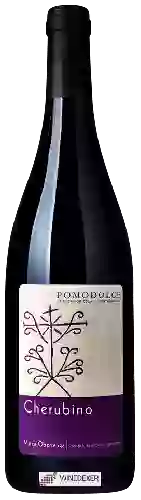 Winery Pomodolce