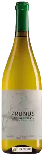 Winery Prunus - Branco