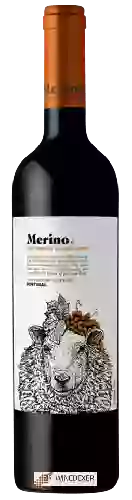 Winery Merino