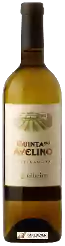 Winery Quinta do Avelino - Treixadura