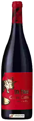 Winery Rex Mundi